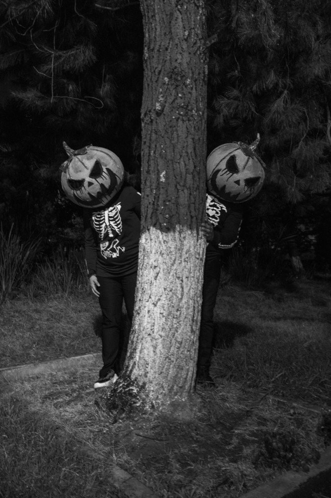 Sesión de Halloween con calabazas detrás de un árbol